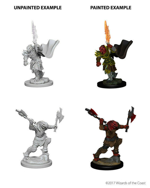 D & D Nolzur's Marvelous Minis - Dragonborn Fighter (Female) - Unpainted